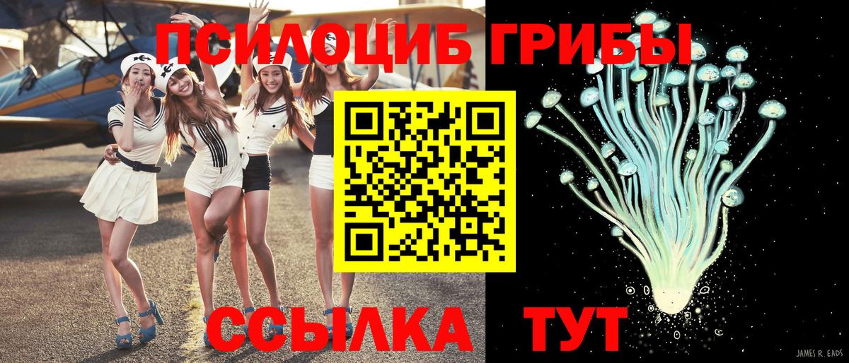 Буйнакск  Псилоцибиновые грибы Magic Shrooms  Вход с VPN  Галлюциногенные грибы MAGIC MUSHROOMS 